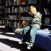 Boy with a book at the library